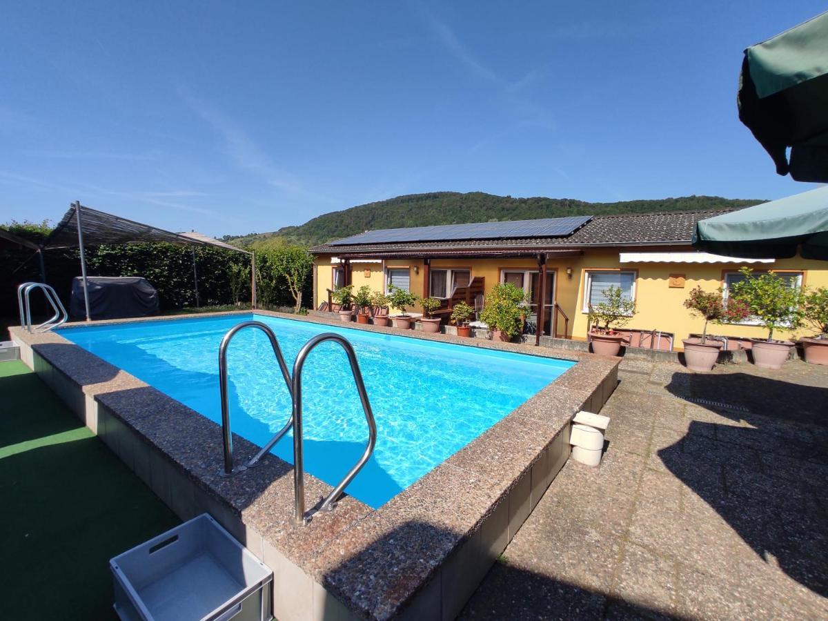 Ferienwohnung Moselferienweingut Schaefer Wintrich Exterior foto