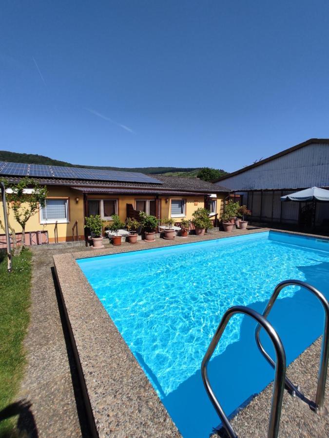 Ferienwohnung Moselferienweingut Schaefer Wintrich Exterior foto